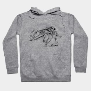 Ballet shoes Hoodie